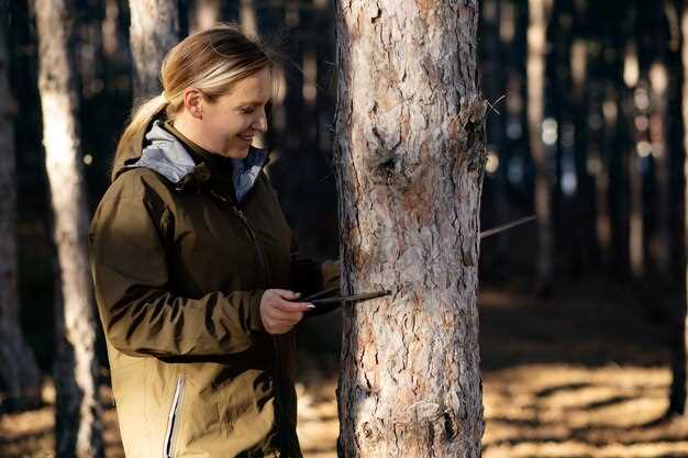 Navigating the Licensing Process for Hunters
